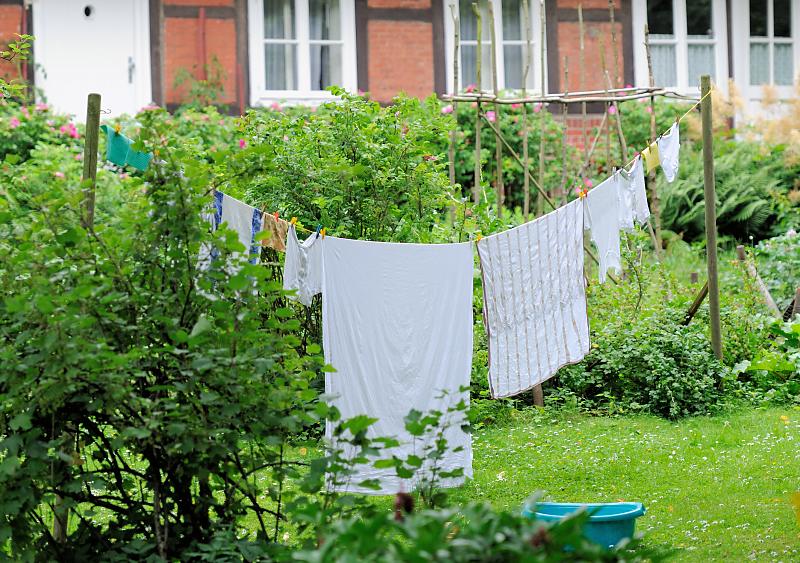 785_4667 Wäsche trocknen im Garten - Wäsche auf der Leine vor einem Fachwerkhaus in Hamburg Sinstorf | Wäsche auf der Leine - große Wäsche trocknen im Freien.